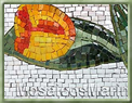 Número de Mosaico Floral Tulipa